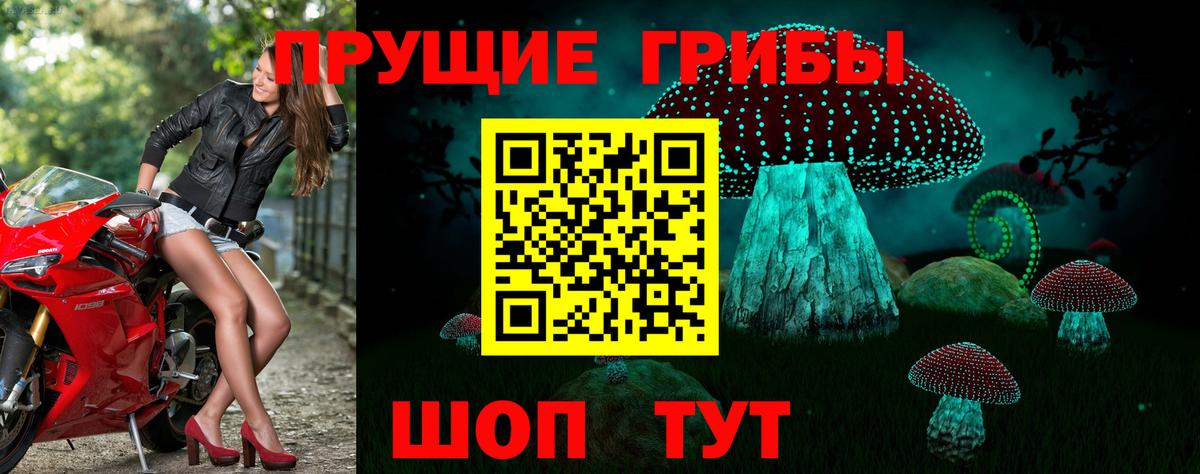 Кинель  Галлюциногенные грибы мухоморы  Вход с VPN 